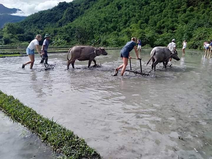 Mai Chau Xanh Bungalow 외부 사진