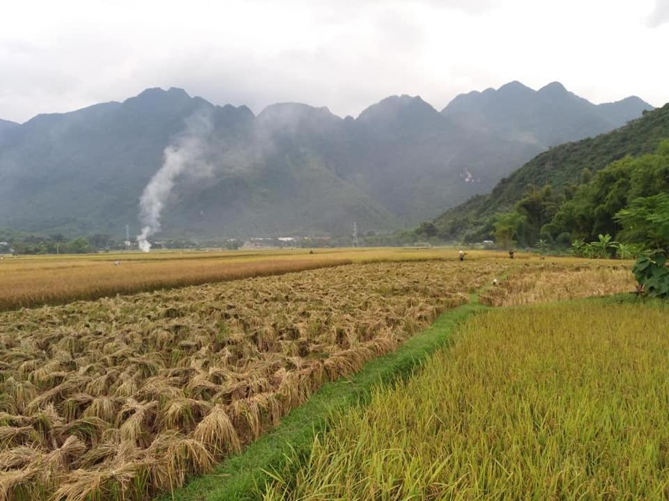 Mai Chau Xanh Bungalow 외부 사진